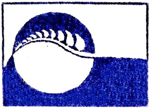 Traductora Literaria Maria Fe Gonzalez